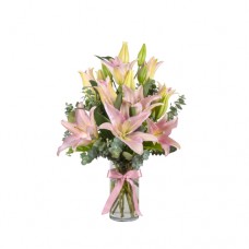 Pretty Pink Lilies